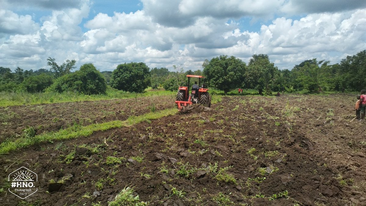 DivineOrganicUg's tweet image. Mechanisation is a critical part of our efforts in increasing production of #cassava and Orange Fleshed-Sweet Potato #OFSP. We are in search of partners to support us in those efforts. @USAIDUganda @IFAD @UDB_Official @AfDB_Group @the_afchub @NoelaOjara 

#AmaroFoods #MothersLove