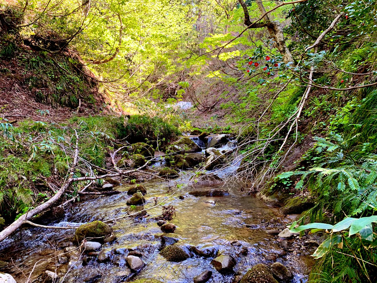 明日も遭難と滑落に注意