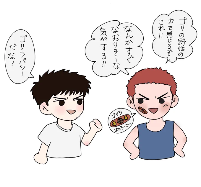 後日、🦍🩹を見つけたので買ってきた三と🦍なら貼る花 