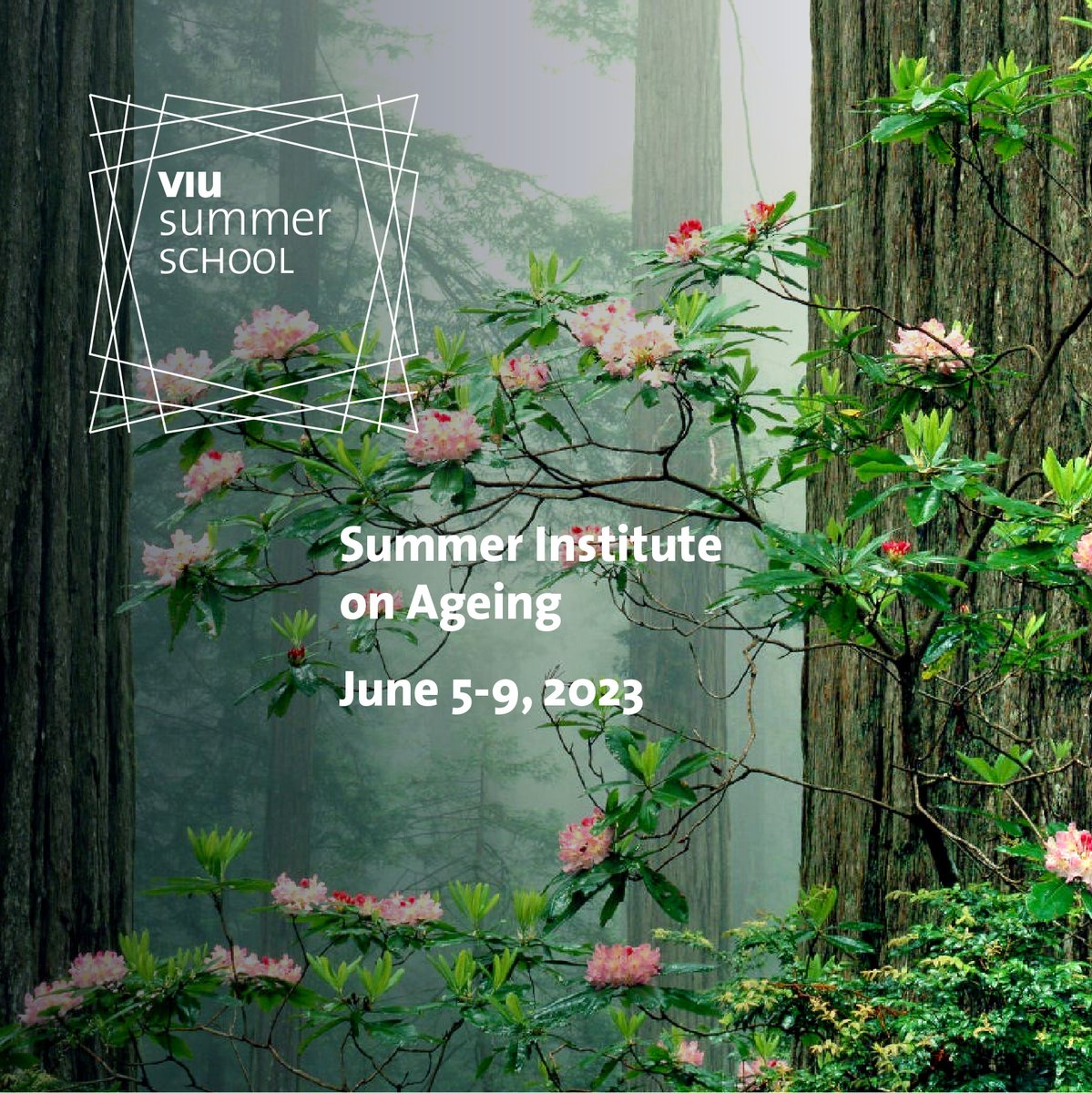 #ApplyNow: Summer Institute on #Ageing | #VIUSummerSchools 2023, June 5-9, 2023 @univiu Achieve a #interdisciplinary and rigorous understanding of ageing! Deadline: May 15, 2023 univiu.org/study/summer-s… #VIUGraduate #SummerSchool