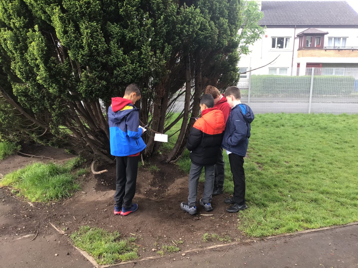 CPrimary2019's tweet photo. A great start to the week as we took our Literacy lesson outside for @ClydePrimary ’s Outdoor 
Learning Week! Thanks to @WightLea for organising! #clydeoutdoorlearning https://t.co/2UzXrg63lH