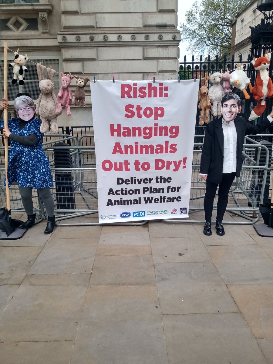 DavidBowles21's tweet photo. Today @RSPCA_official @ciwf @PETAUK @HSIUKorg @FourPawsUK @MoveTheWorld asked @DefraGovUK @10DowningStreet to bring back the Kept Animals Bill, stop live exports, stop primate keeping, stop the puppy trade https://t.co/XAsQkjhCRT
