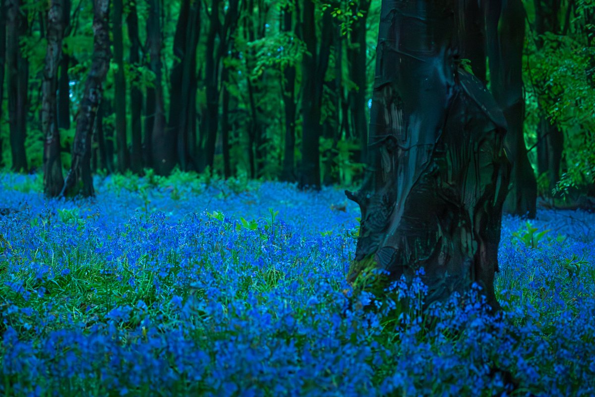 SuperReel Productions tweet media