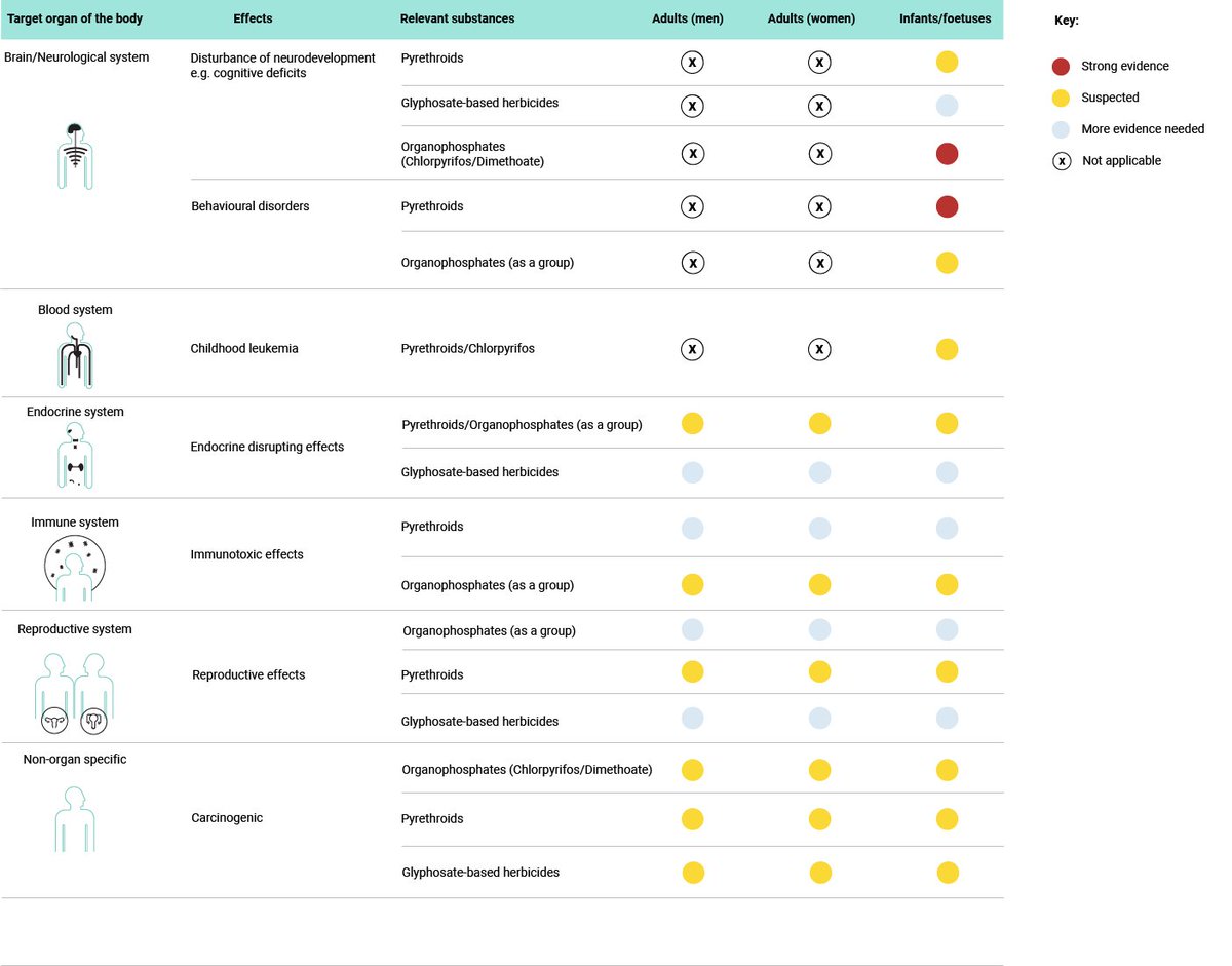 Overview of health effects associated with exposure to HBM4EU priority pesticides