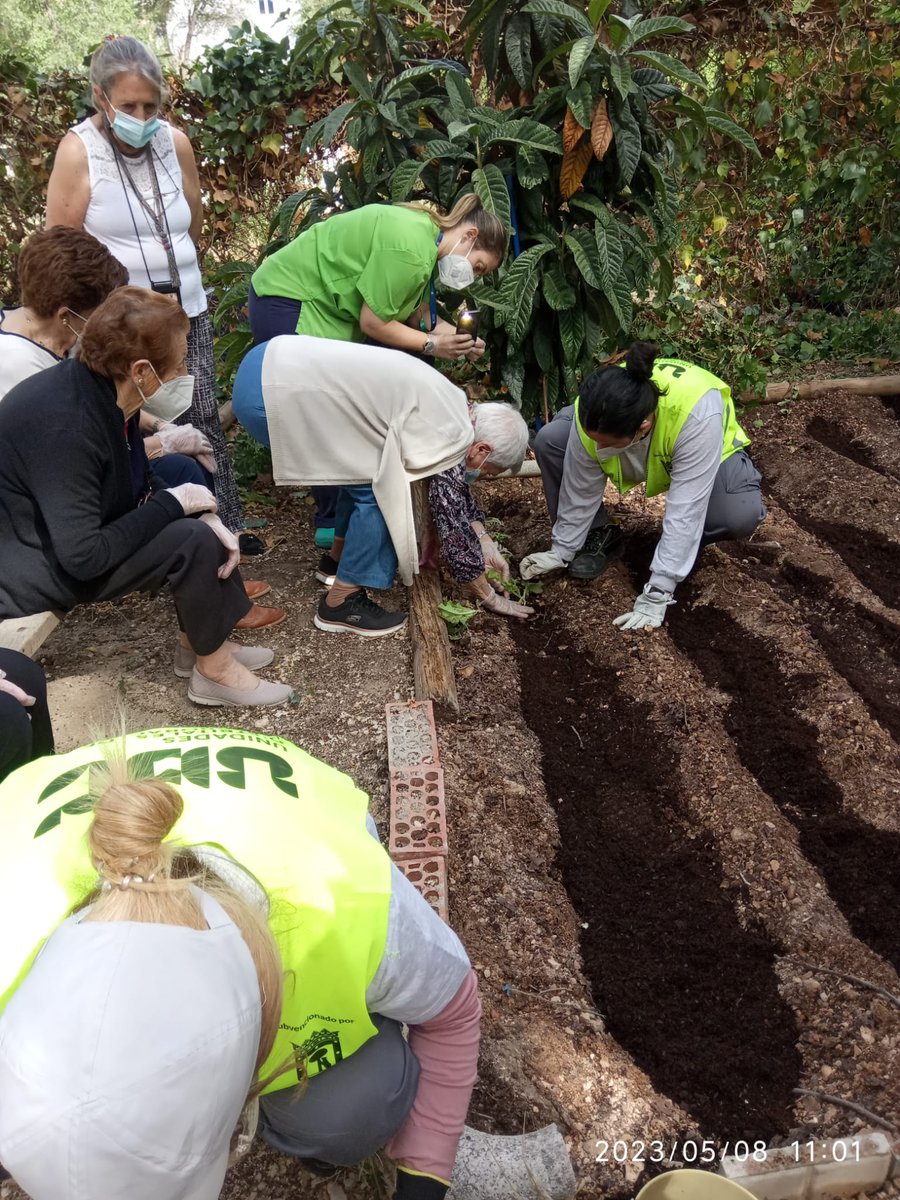 UDCCiudadLineal's tweet photo. Como siempre un placer compartir una mañana con los y las mayores, y nada mejor que con una jornada de horticultura y jardinería. Gracias a las y los asistentes ayer al taller en el Centro de Mayores Nueva Edad. https://t.co/9XXTn8zT1L