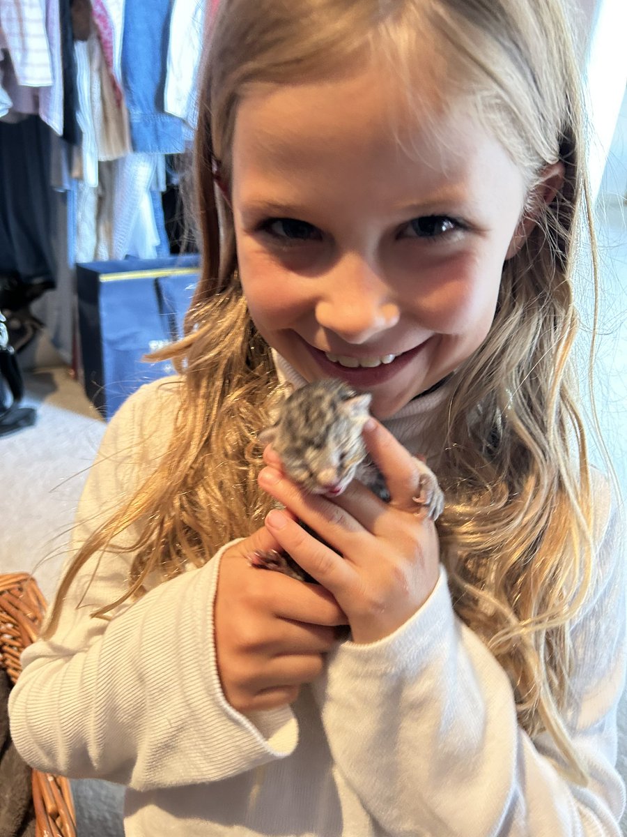 Dave 💙 tweet media