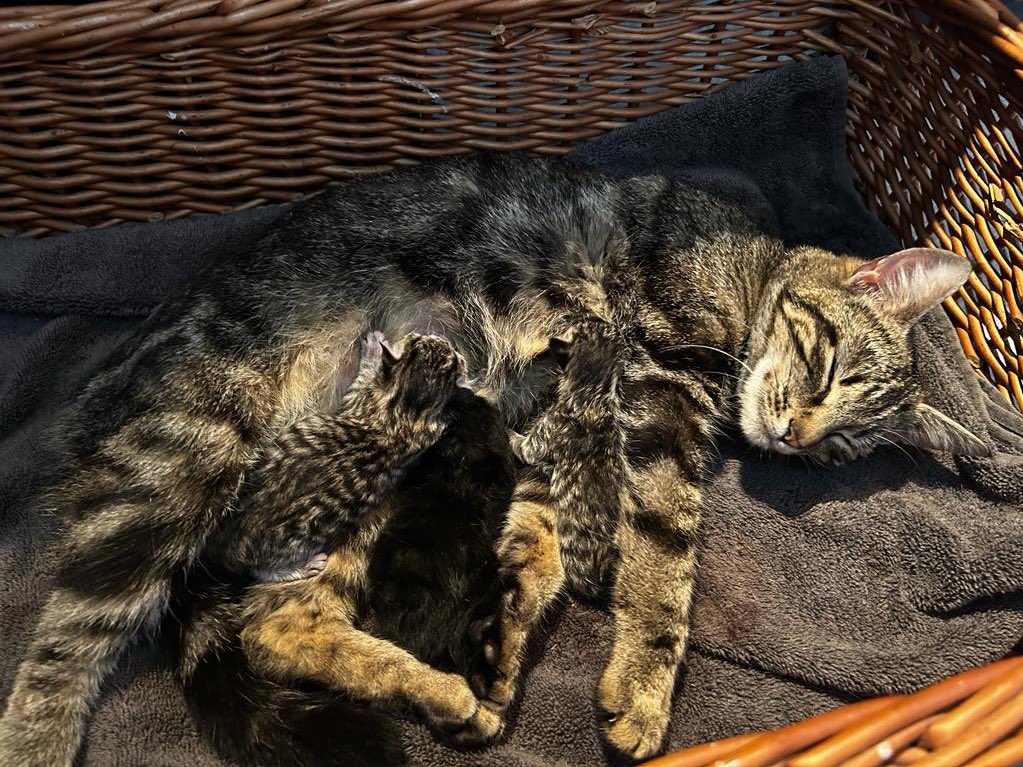 Dave 💙 tweet media