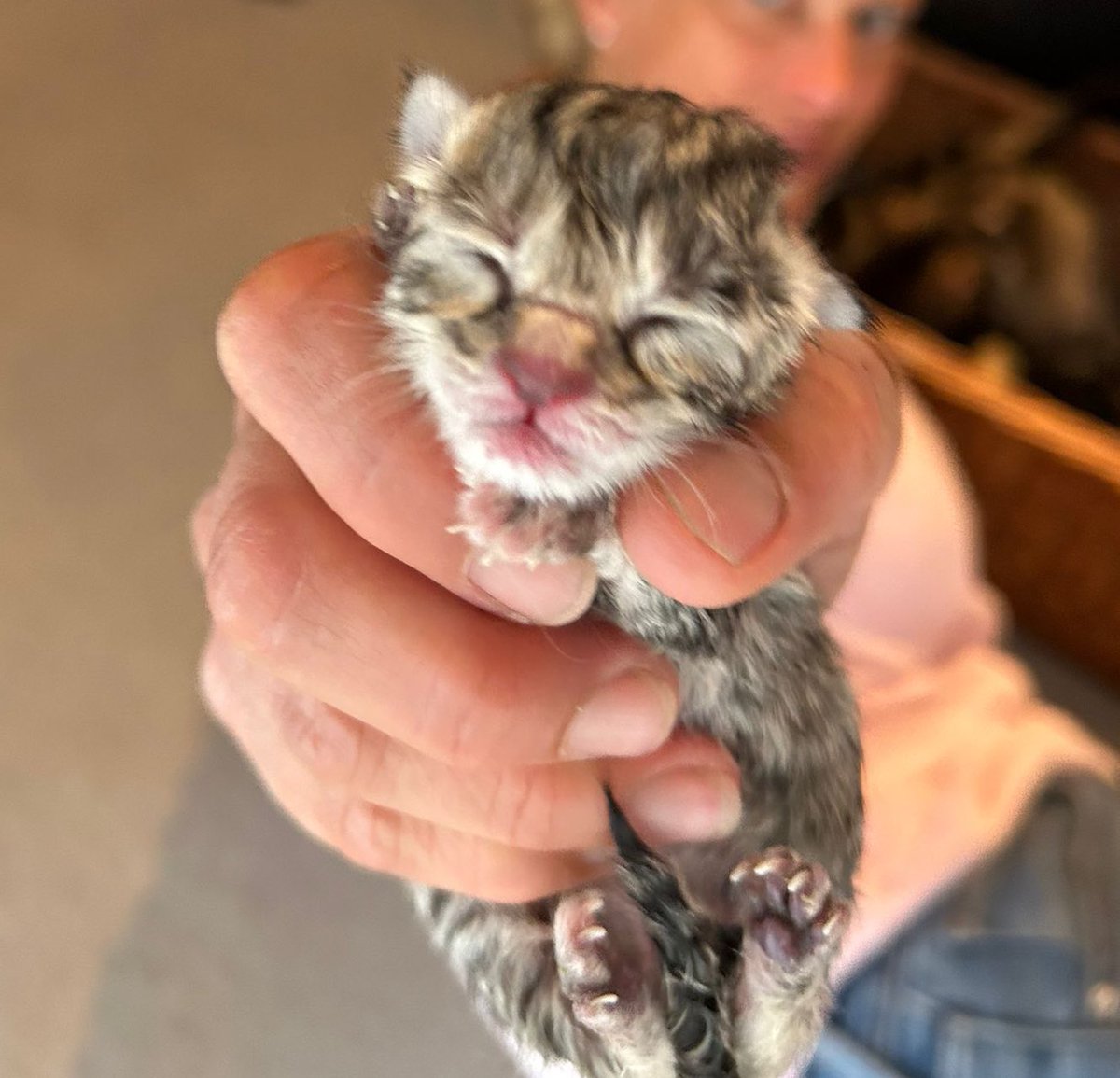 Dave 💙 tweet media