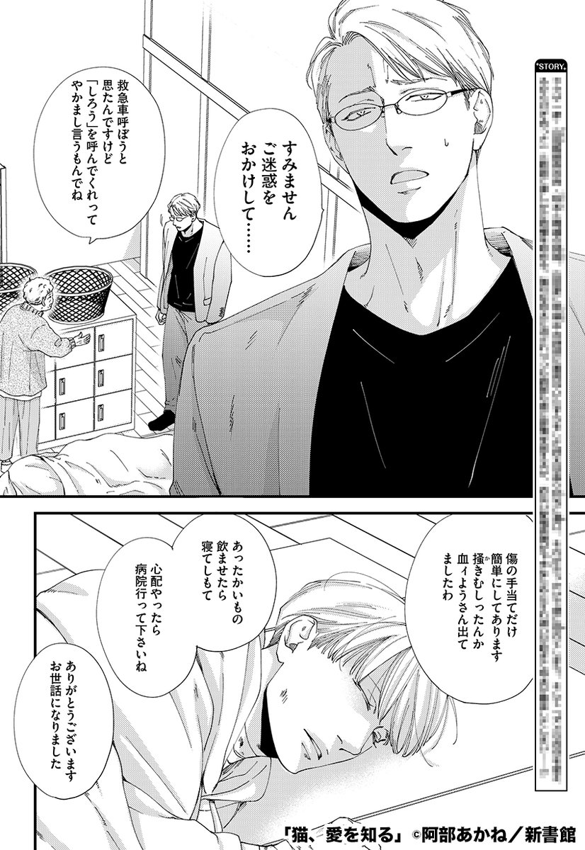 【12日発売🌟Dear+6月号】 今日のチラ見せ! 腹黒インテリメガネ×性悪猫男子の『猫、愛を知る』続編連載💗最終回!  #阿部あかね 先生(@akanebosuke)『猫、恋に焦がれる』から♪ 詩郎とのすれ違いから、将太が暴走してしまい…!? *D+C『猫、愛を知る』秋頃発売予定!!🎊✨