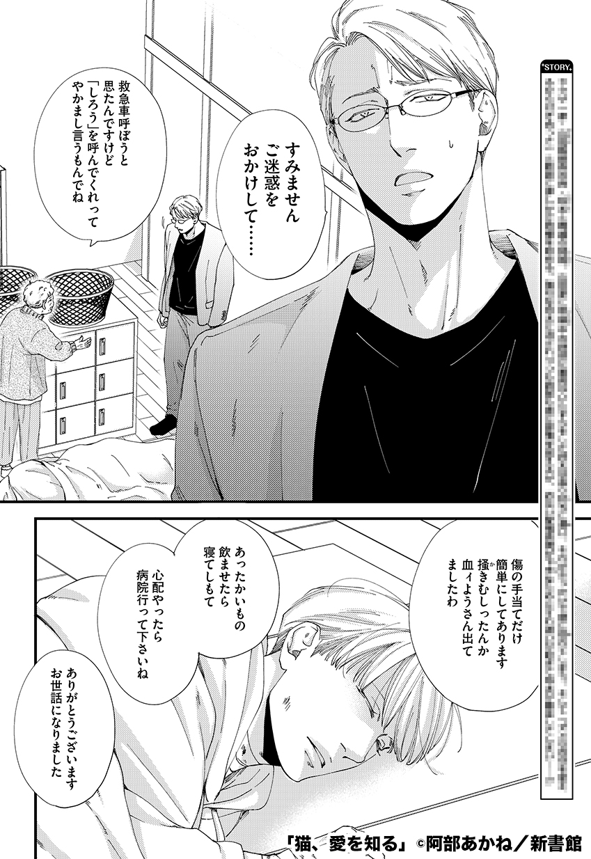 ディアプラス＆シェリプラス編集部 on X: 
