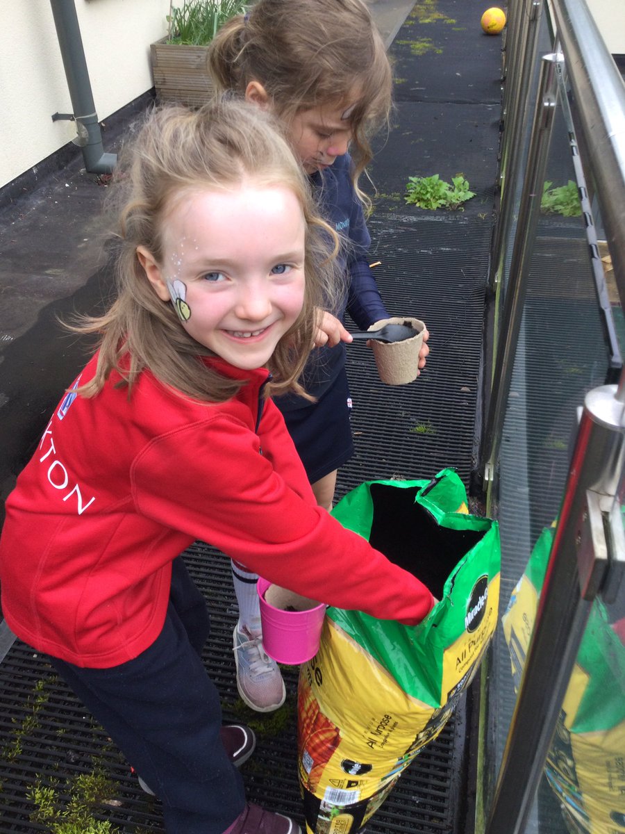 MonktonYear1's tweet photo. Plant a tiny seed and watch it grow, grow, grow! #WildMonkton https://t.co/CvoO7y32Vc