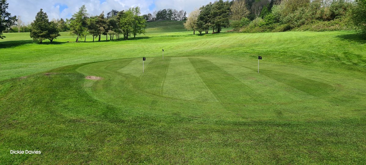 There is definitely an improvement in our chipping green. Scarified 5 weeks ago overseeded topdressed and fed with <a href="/consolidateTurf/">Consolidate Turf</a> hopefully it will keep improving 
#greenkeeper #greenkeeping #kendal #lakesgolf