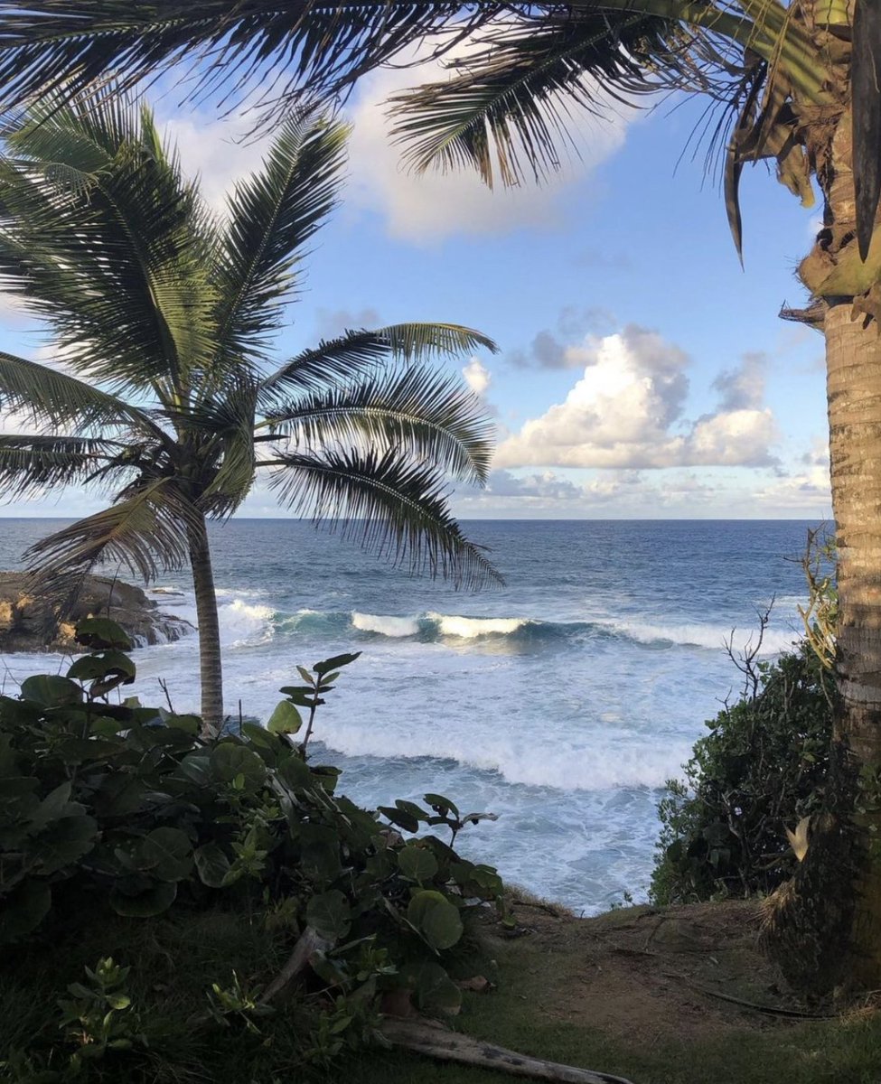 PrettyLittleThing tweet media