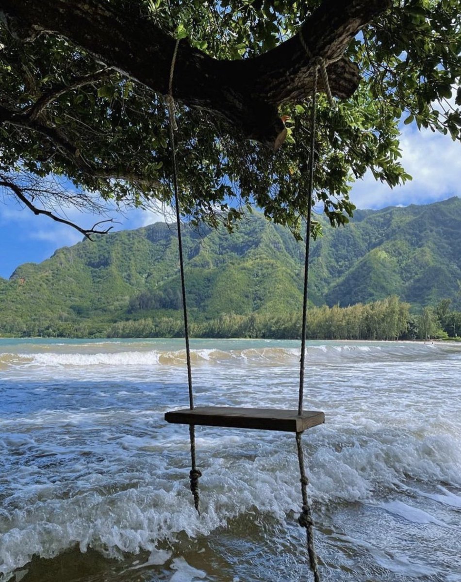 PrettyLittleThing tweet media