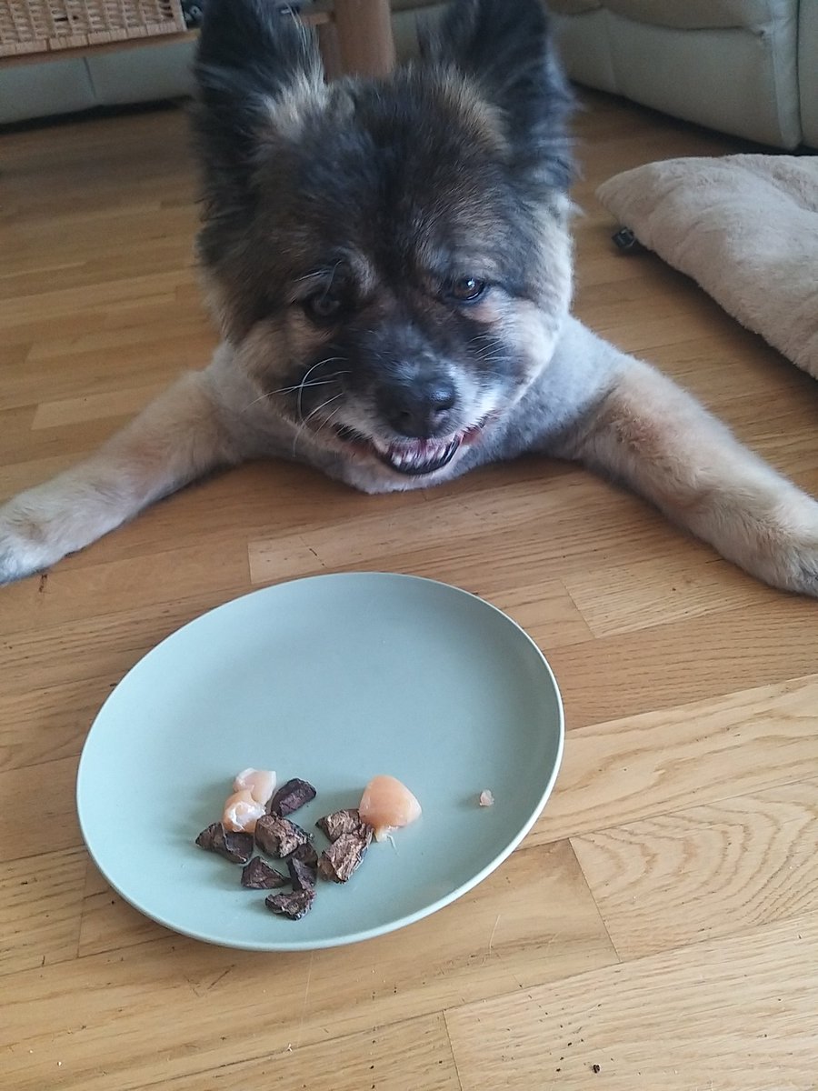 Die Chefs ham gsogt i hob heid Pforztag den 12.en🙊