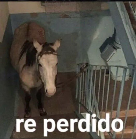 shitpostingMP4's tweet photo. caí a la facultad y me olvidé donde era el salón donde se da la materia https://t.co/Dxu7ZeOI7A