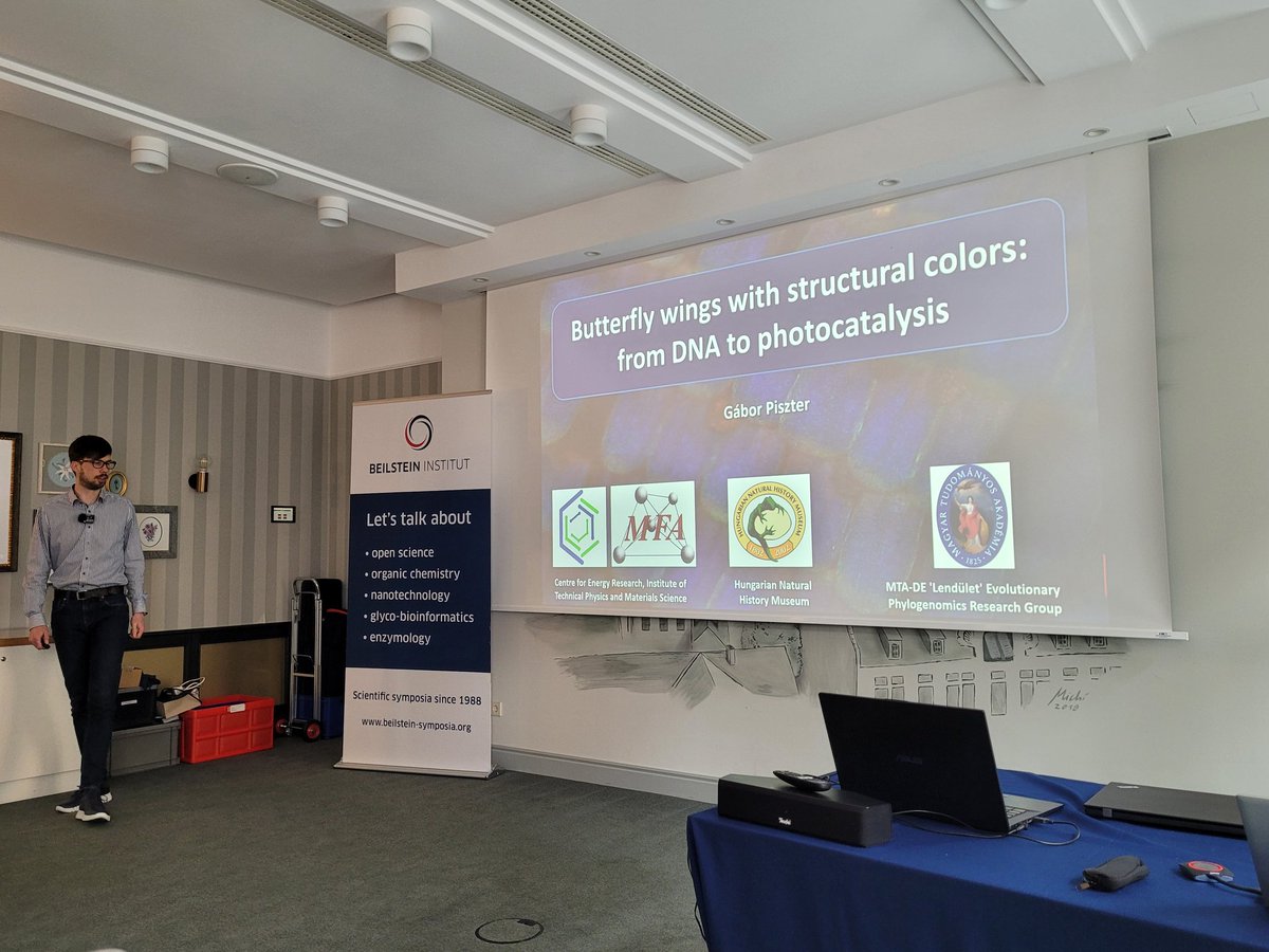 BarbaraHissa's tweet image. Gábor Piszter @euronuclear 🇭🇺 shows how the #structuralcolor of the common blue #butterfly species&apos; #wings affects their behavior, genetic variation and how they can be used in combination with #ALD as biotemplates for #semiconductor surfaces. #BeilsteinNanosurfaces2023