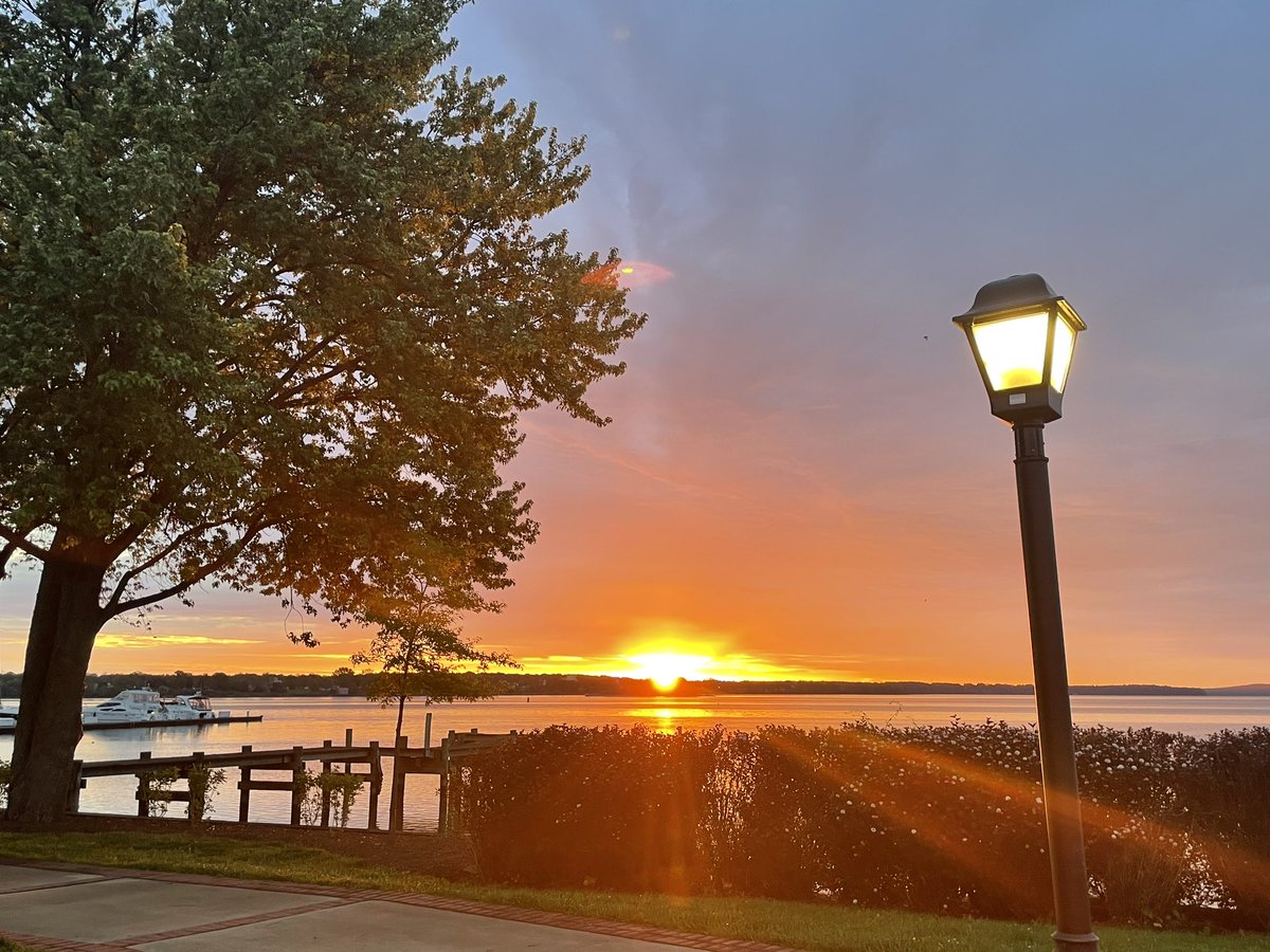 Mark Roper tweet media