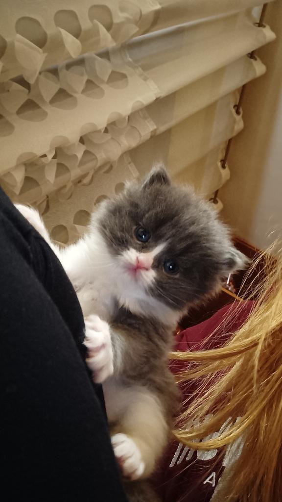 pelc0va's tweet photo. @bornin22june Myślę że fajnie modele do uwiecznienia https://t.co/JTcXs24XBe