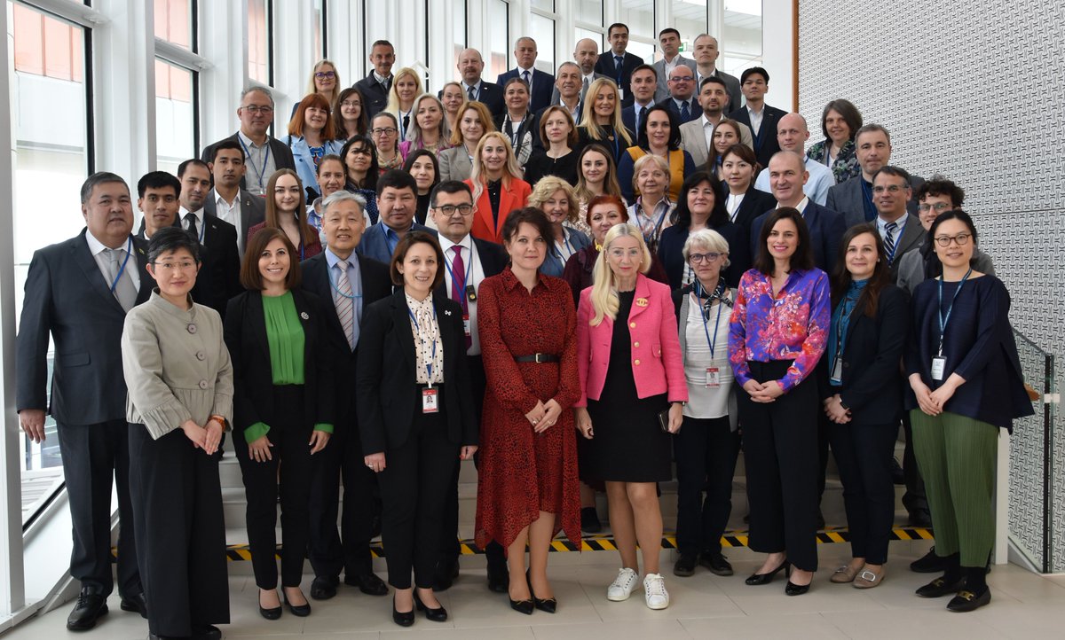 A workshop for new project counterparts, National Liaison Officers and National Liaison Assistants is bringing together 51 participants from 27 European and Central Asian countries to learn about the TC Programme