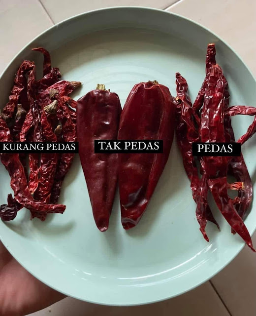 Anyieljr's tweet photo. Jenis-jenis cili kering mengikut kepedasan:

1. Kerekot tu kurang pedas.
2. Gemuk tengah tu tak pedas langsung.
3. Panjang merelik pedas berdengung.

Kena pandai pilih, salah pilih naiya pak karim 😂 https://t.co/lgX8d9RY69