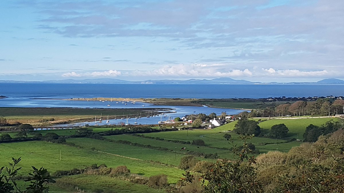 CMC Adventure tweet media