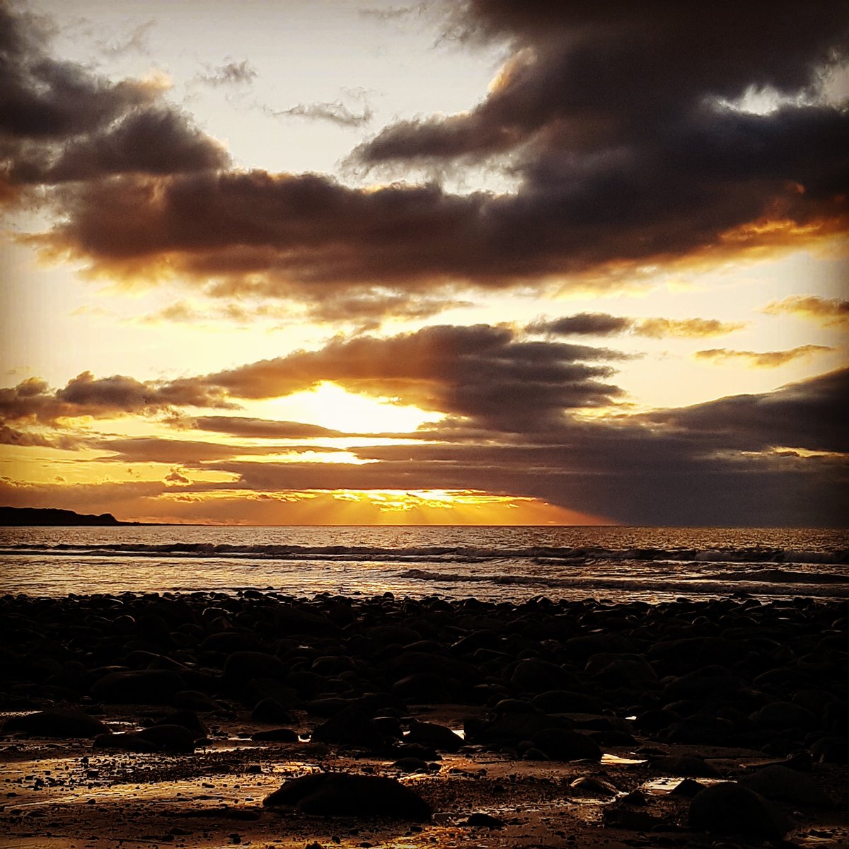 CMC Adventure tweet media