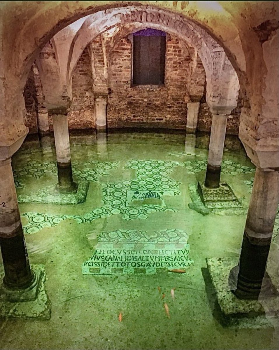 JamesLucasIT's tweet photo. I funerali di Dante Alighieri si svolsero a Ravenna nel 1321 all’interno della Basilica di San Francesco.

La cripta della chiesa risalente al IX-X secolo si trova oggi sotto il livello del mare e l’acqua la invade ricoprendo con una delicata trasparenza i meravigliosi mosaici del pavimento, sui quali nuotano indisturbati i pesci rossi che da tempo ne hanno fatto il loro habitat.