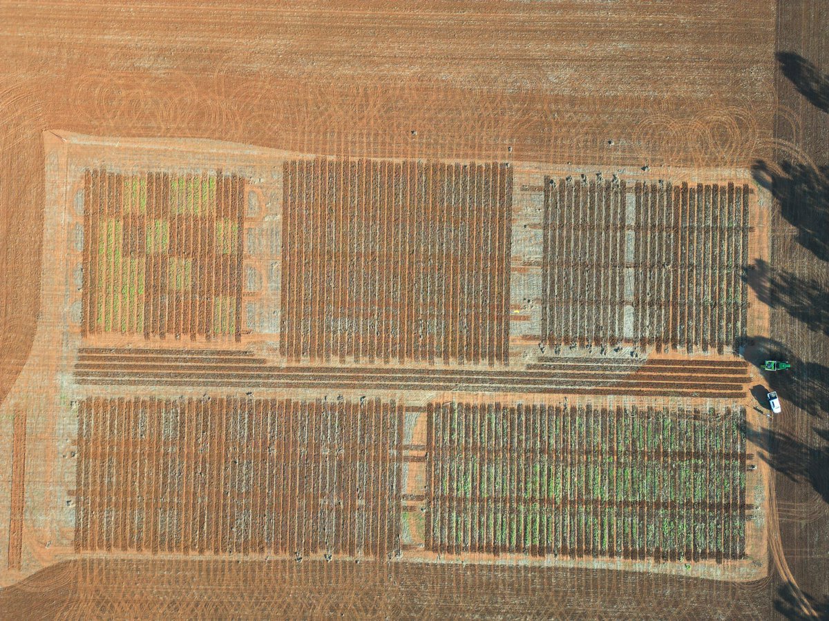 Finished sowing the Tallimba site today. Our biggest site this year with multiple trials to continue work on animal manures, silicon and a vetch legacy trial from last year comparing hay/BM/grain. <a href="/Farm_Link/">FarmLink Research</a>