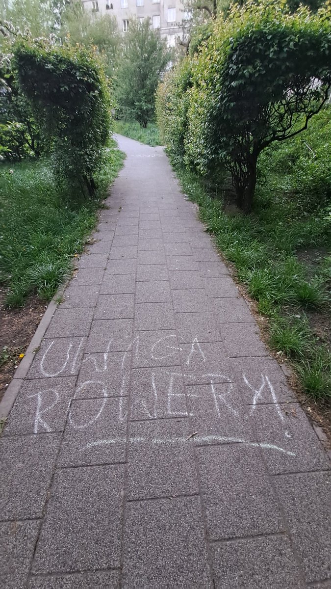 jerzy.chodorek tweet media