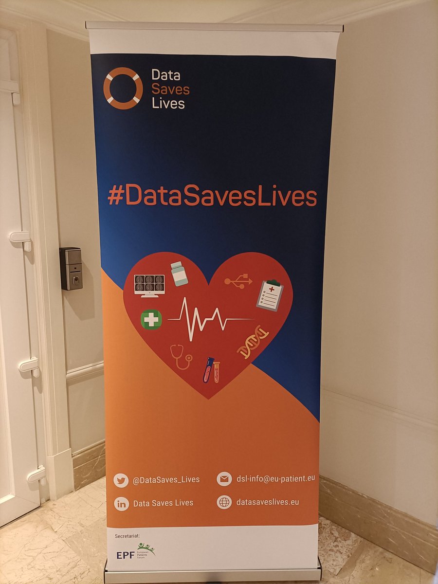 🇪🇺 Celebrating #EuropeDay by supporting important causes! 🌍🤝 Today, I'm spending my Europe Day by preparing for a presentation and panel discussion representing @DataSaves_Lives, taking place tomorrow. Stay tuned 🛟 #DataSavesLives