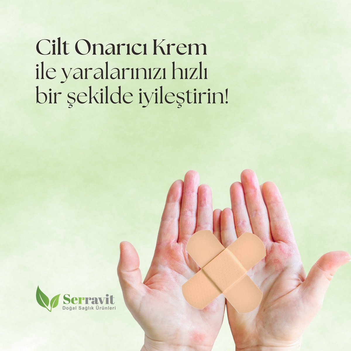 serravitt's tweet photo. Cilt onarıcı krem ile yaralarınızı hızlı bir şekilde iyileştirin!

Online sipariş: https://t.co/h4abP7GOeE

#humikasit #humik #antioksidan #ciltiyileştirici #serravit https://t.co/IXudZdhFBD