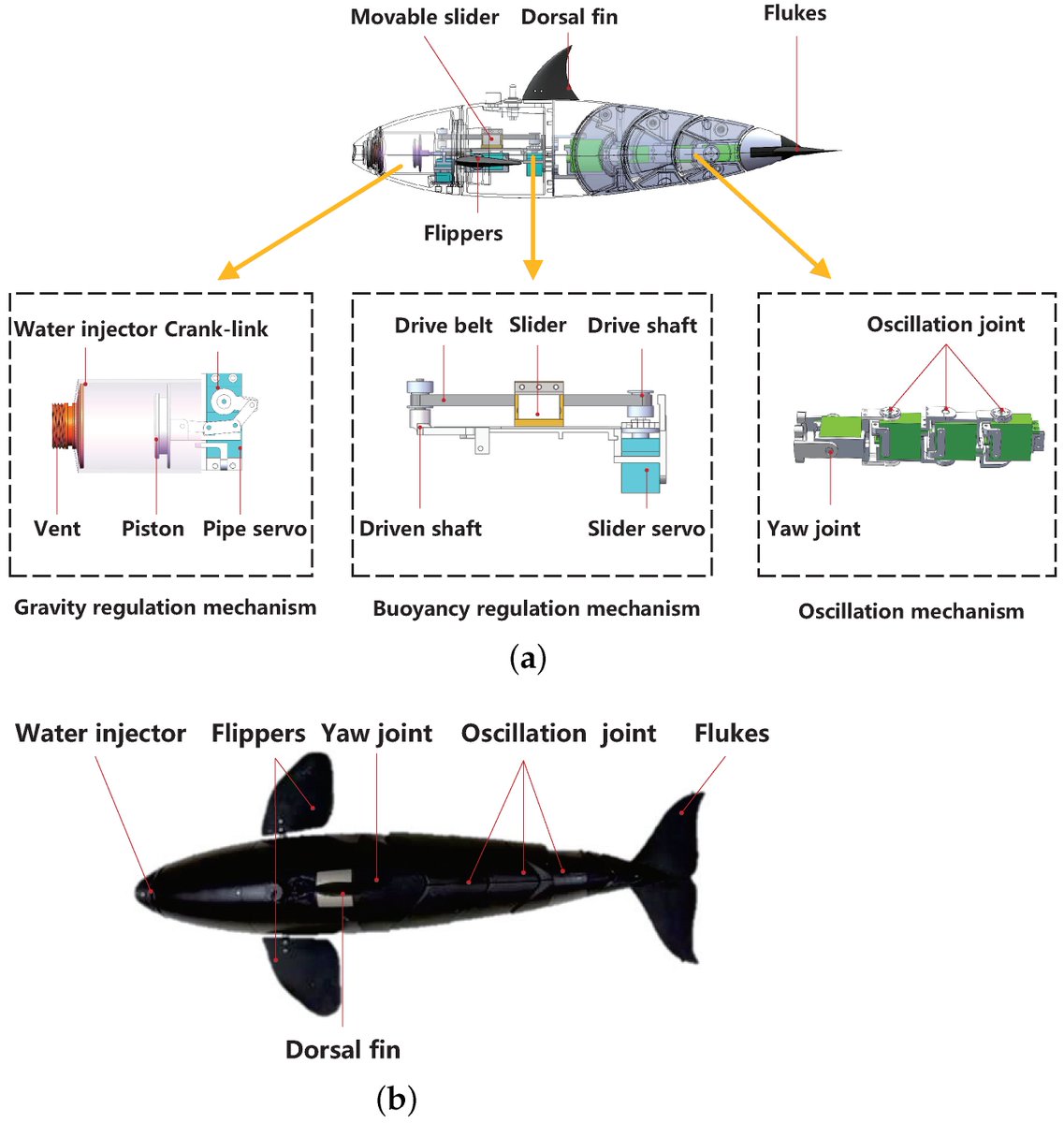 Biomim_MDPI's tweet image. #RecommendedPaper
Design and Analysis of a Bionic Gliding Robotic Dolphin by Yang Zhang, et. al. @UCAS1978
➡️Read the full paper here: mdpi.com/2313-7673/8/2/…
✔️#RoboticDolphin; #BionicRobot; #GlidingMotion; #DynamicModel