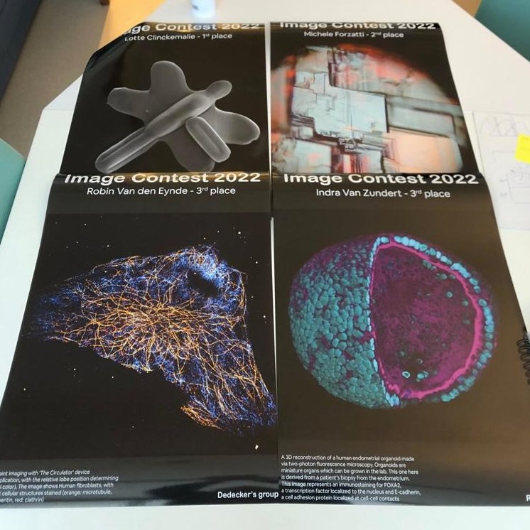 Rocha Lab (@rocha_lab) on Twitter photo The posters featuring the winners of the image competition at the NanoCenter <a href="/KULeuvenChemie/">KULeuvenChemie</a> have been printed! They will soon be hung on the still empty walls of the building 🔬 Congrats once again to the winners! The posters featuring the winners of the image competition at the NanoCenter <a href="/KULeuvenChemie/">KULeuvenChemie</a> have been printed! They will soon be hung on the still empty walls of the building 🔬 Congrats once again to the winners!