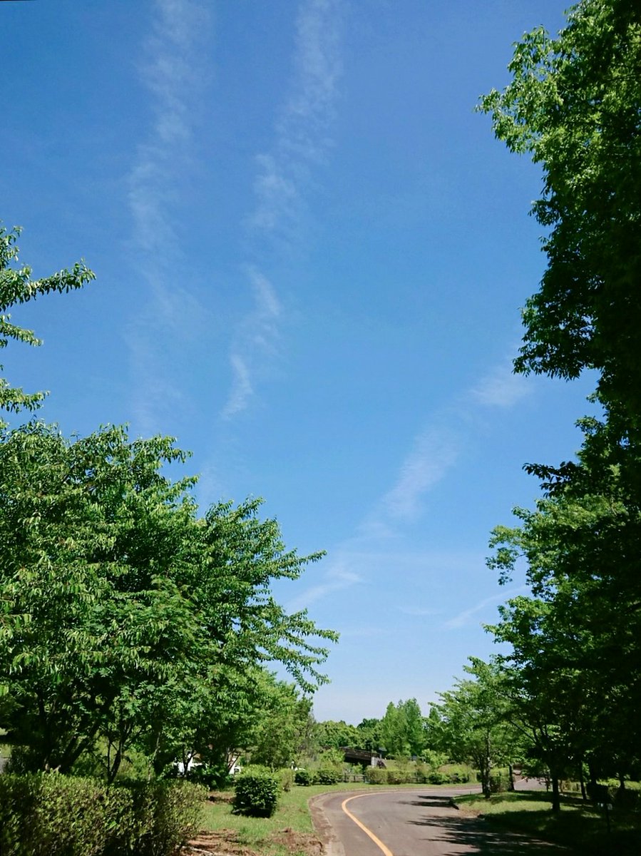 SHIN_1407's tweet photo. 爆発しそうだったので気分転換してきた🌱🌱🌱 https://t.co/bq2vS9fr8w