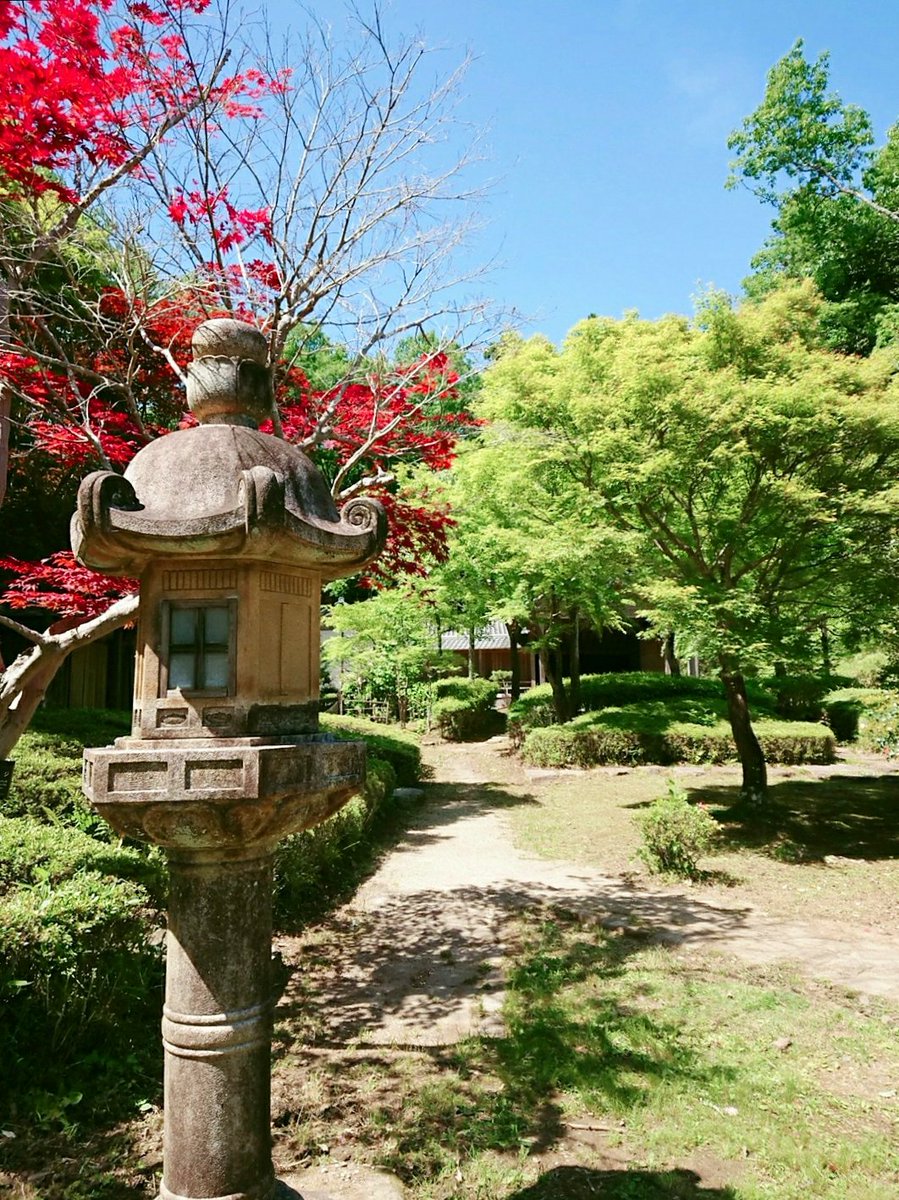 爆発しそうだったので気分転換してきた🌱🌱🌱