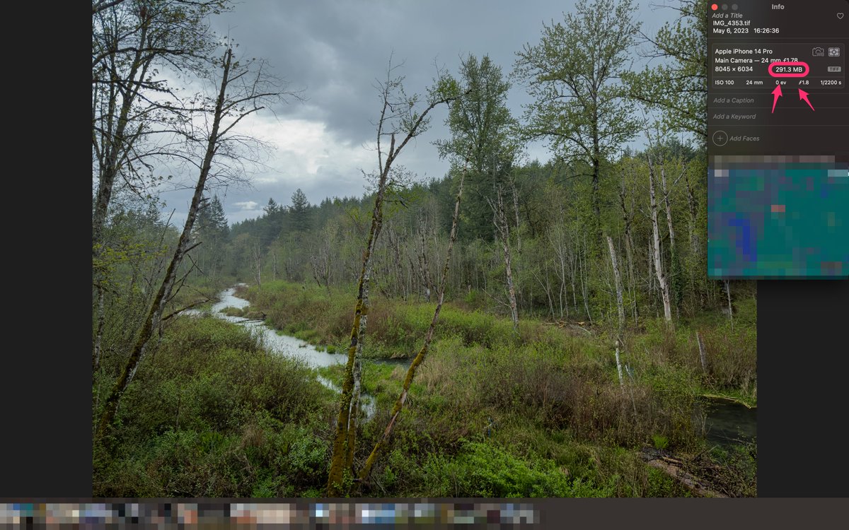 sGeekBlog's tweet image. A #48MP #AppleProRaw edited in the latest #AdobeLightroomCC with a maximum exporting quality preset would actually double the file size. For 1.5 months of #iPhone14Pro usage my Mb per single pic records are these.