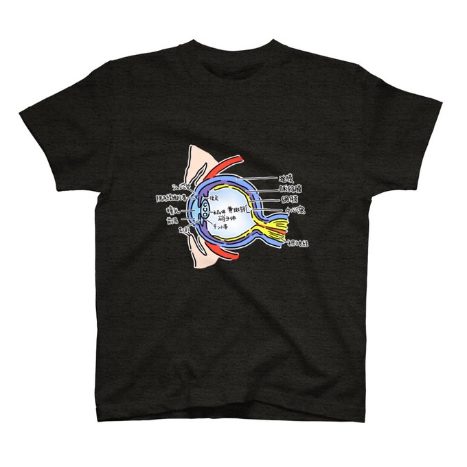 視力さんとのコラボグッズ これとかゆるカッコよくておすすめ  視力の眼球の構造スタンダードTシャツ   #suzuri