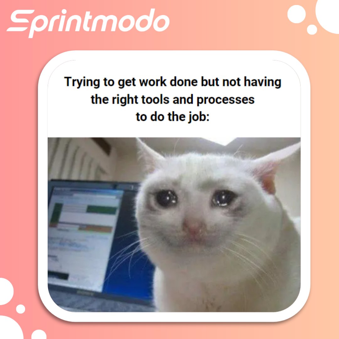 sprintmodo's tweet image. Sometimes it takes a cat to capture how certain frustrations can be felt in corporate teams! When was the last time you checked if the software tools and processes your team are using every day are fit for purpose? #Teamwork #HighTeamPerformance #CorporateHumour