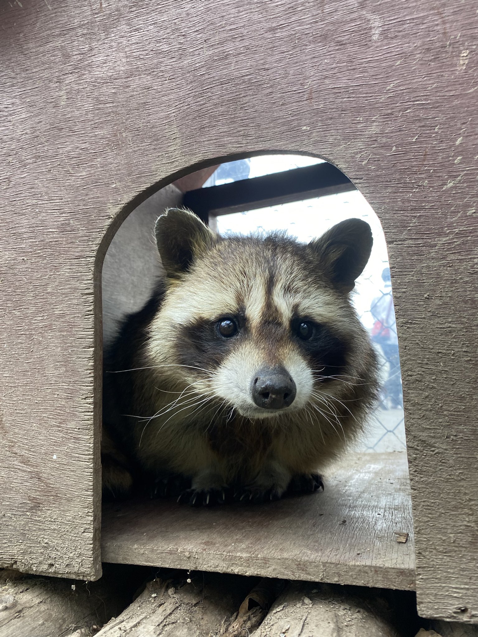 旭川市旭山動物園［公式］ على X: 