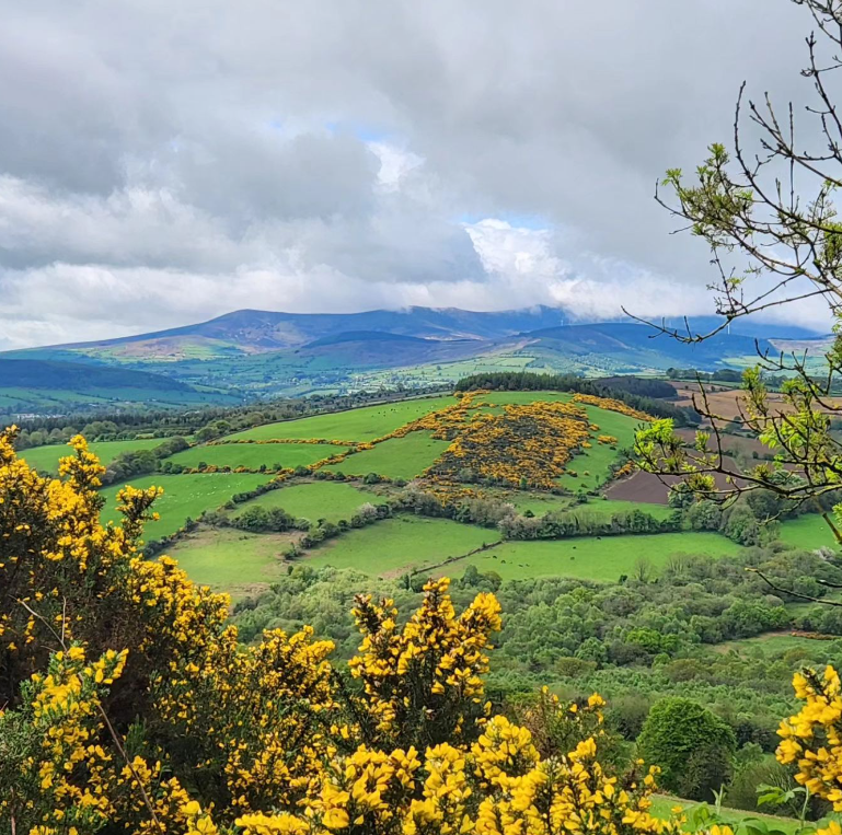 #FridayPhoto The Wicklow Way looking fine as hell 😍

@TheWicklowWay @WicklowWayBus @visitwicklow