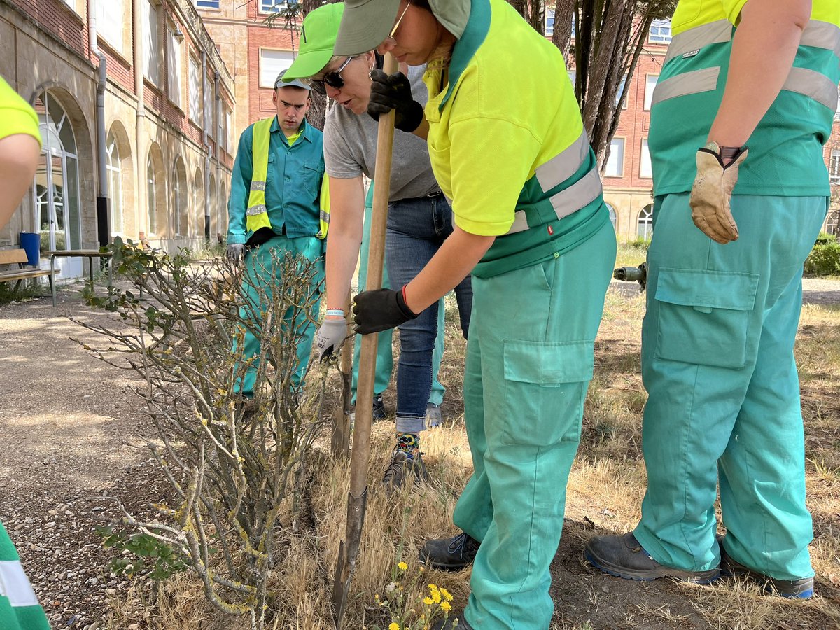 Magnífica jornada la que vivimos ayer en el proyecto conjunto con el Centro Educativo El Arca <a href="/AsprodesSalaman/">Asprodes Salamanca</a> acondicionando nuestros jardines. El próximo lunes más 🌳🌺🌱🌿🪴 dentro de <a href="/CircularFp/">Circular FP</a> Trabajo conjunto de profesores y alumn@s 🤩