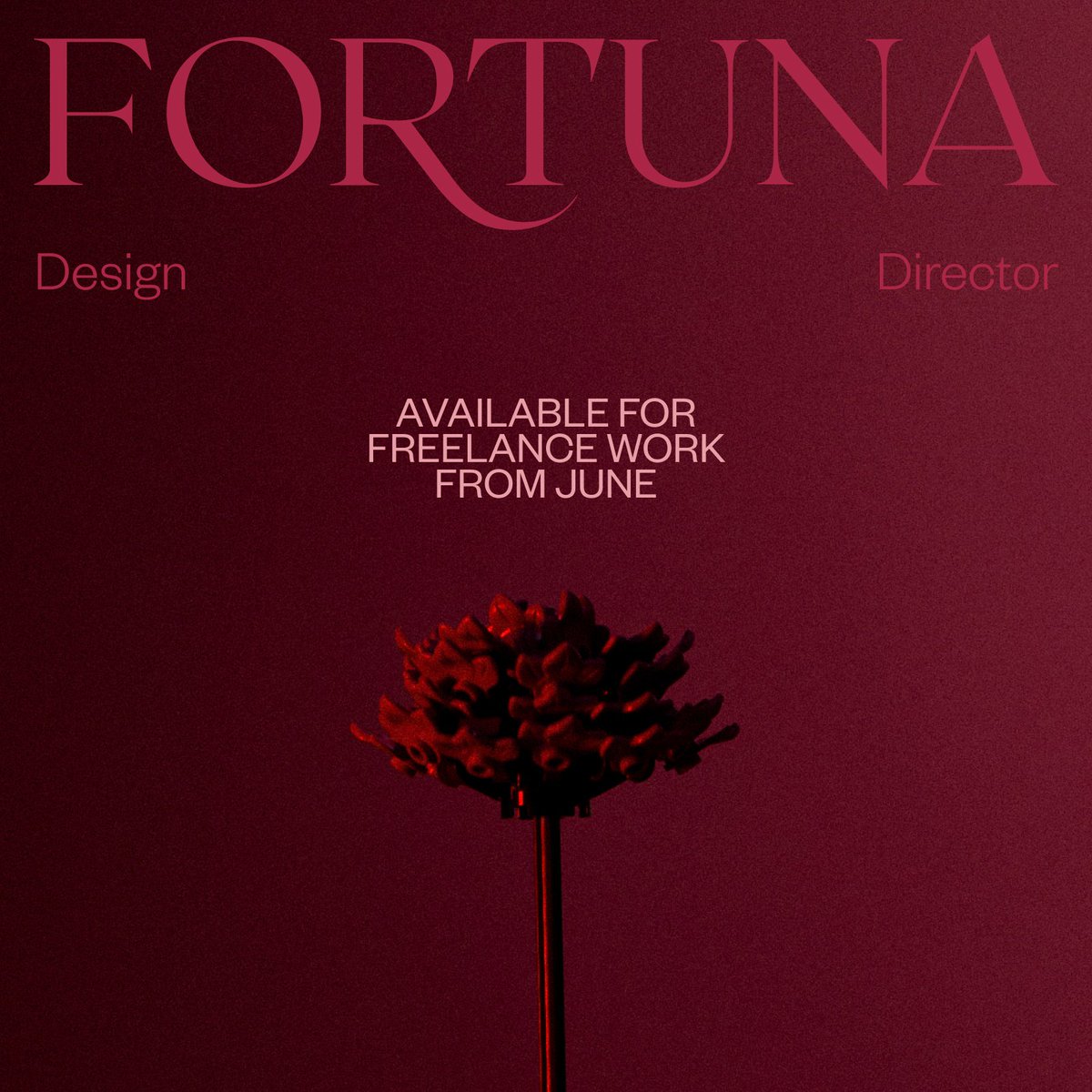 Hello, I'm available for freelance work from June — I also have an updated portfolio on request 🌹 RT much appreciated 🙏