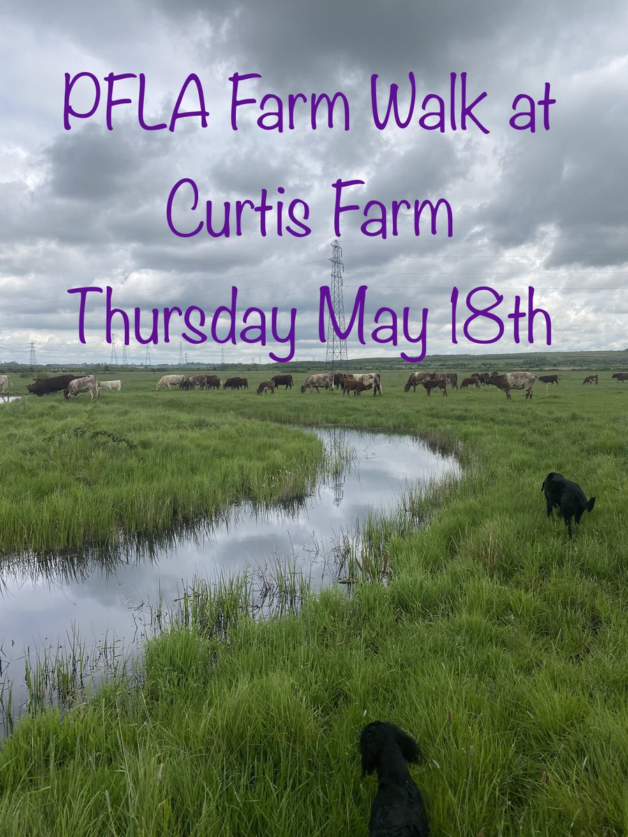 There is still time to sign up to the @PastureForLife farm walk at mine a week Thursday (18th): eventbrite.co.uk/e/farm-walk-an… A great chance to hear about my journey reintroducing livestock having been a 100% arable farmer until two and a half years ago.