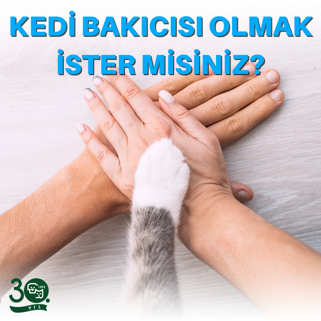 WhatsApp iletişim hattı: 0541 760 90 56

Özgeçmişinizi sadece WhatsApp üzerinden gönderiniz.