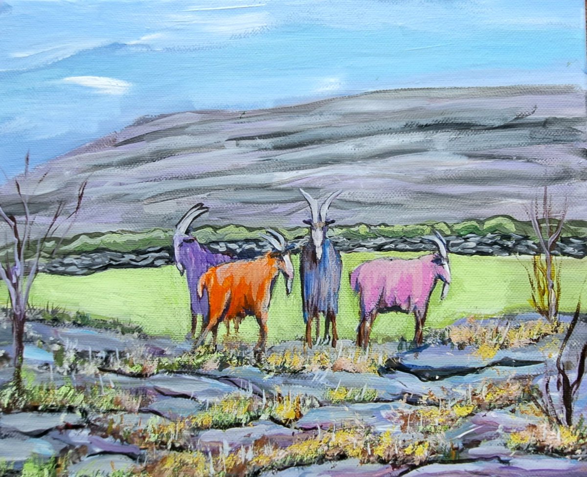 I have just been told their is a orange goat in this picture...can you find it???#burrengoat #originalart #goatsofinstagram #goatchallenge