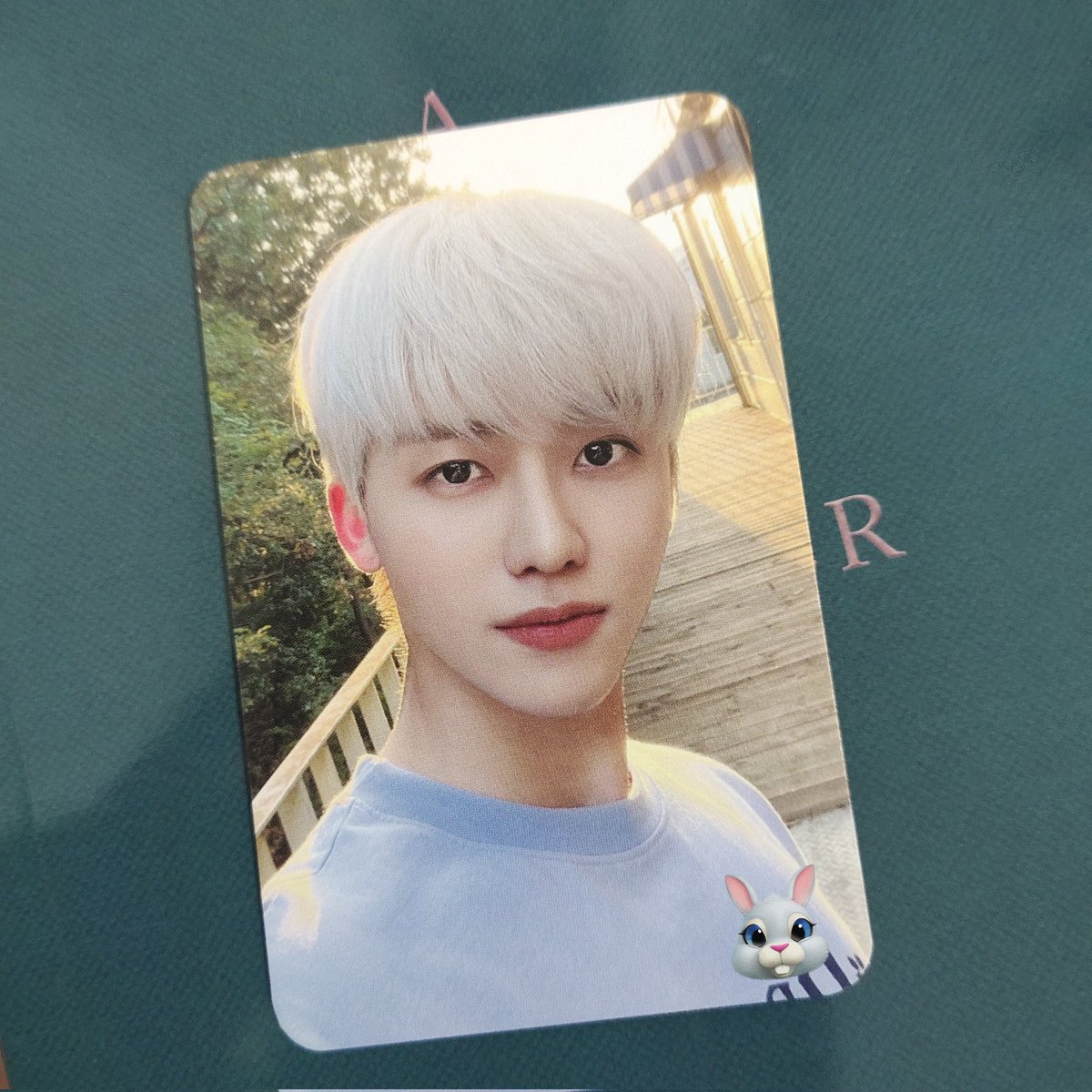 4dearestjaem's tweet photo. ΰ£ͺ κκ ΰ£ͺ #1026mΓ’ils πΰΏ @moontomingi
δΈ π ` hellooo po ! Jaemin pc and teddy island shirt came home safelyyy po ( hindi ko na napic yung shirt kasi inarbor na agad ni mudrakels ko π ) Thank you so much po for hosting this tingi π«Άπ»
πΜΈ Νΰ£³ #1007feedbacks π Φ΄ΦΆΦΈ https://t.co/sgWzffPJrX
