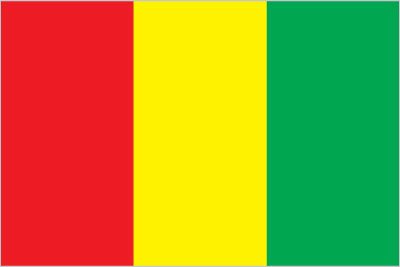 10 most populous Languages in Guinea which Languages Africa languagesafrica.com has  professional resources in Translation &amp; AI Data collection.
1.Fulfulde
2.Malinke
3.Susu
4.Kissi
5.Kpelle
6.Toma
7.Guerze
8.Maninka, Eastern
9.Maninka, Western
10.Loma