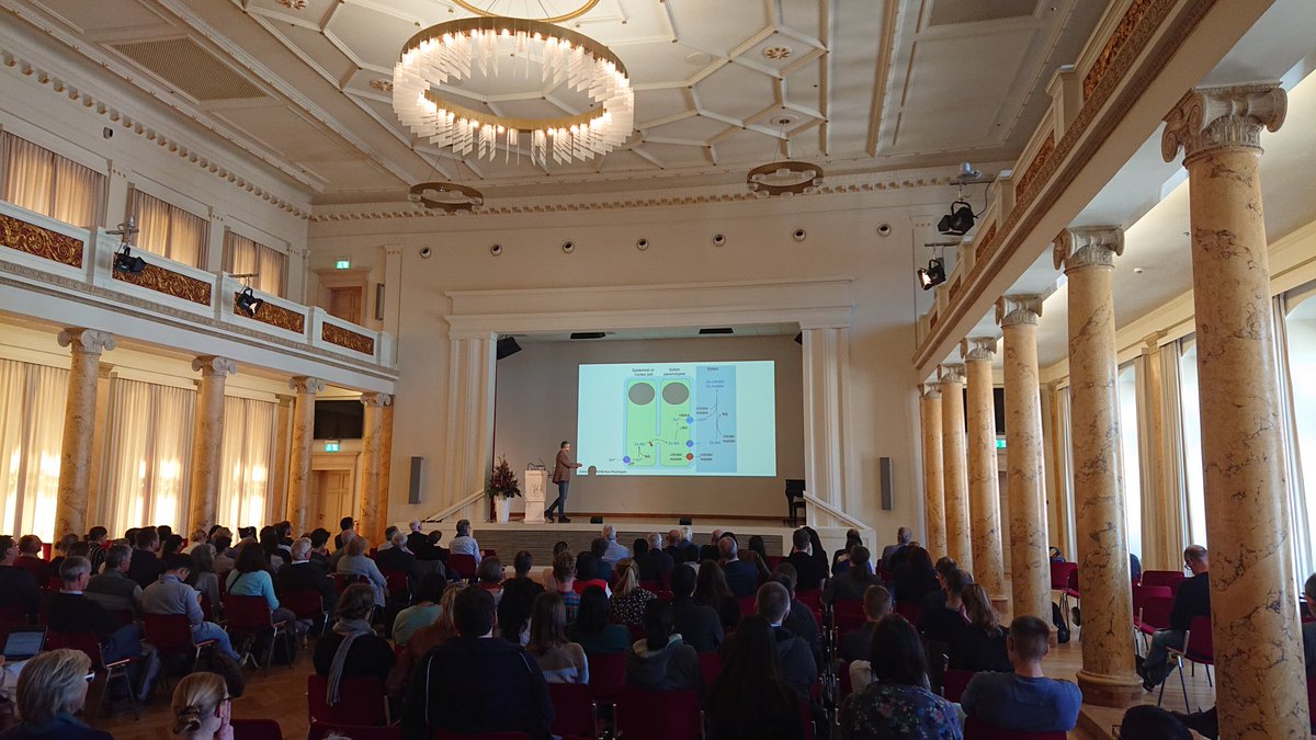 Leibniz Institute of Plant Biochemistry Halle (@ipb_halle) on Twitter photo 1st half of the 2nd day at #IPB2023 w/ great talks by Axel Brakhage (<a href="/LeibnizHKI/">Leibniz-HKI</a>), @vanDamIGZ, <a href="/StephanClemens2/">Stephan Clemens</a> & Heribert Hirt (<a href="/KaustResearch/">KAUST Research</a>) & lots of #chemicalcommunication, #naturalproducts, #plantimmunity, #metalhomeostasis.... 1/2 1st half of the 2nd day at #IPB2023 w/ great talks by Axel Brakhage (<a href="/LeibnizHKI/">Leibniz-HKI</a>), @vanDamIGZ, <a href="/StephanClemens2/">Stephan Clemens</a> & Heribert Hirt (<a href="/KaustResearch/">KAUST Research</a>) & lots of #chemicalcommunication, #naturalproducts, #plantimmunity, #metalhomeostasis.... 1/2