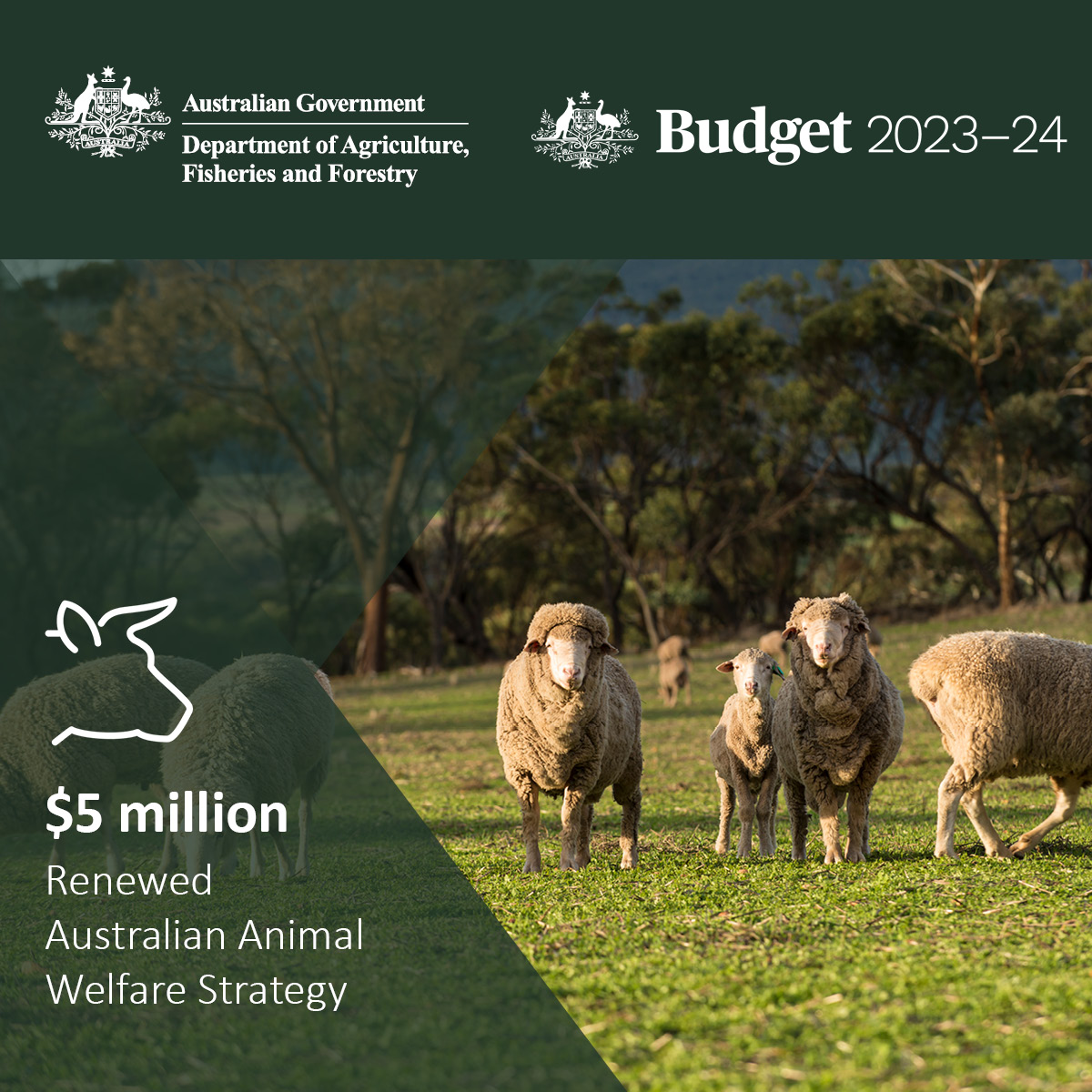 DAFFgov's tweet photo. $1.5 billion committed to invest in the future of Australian agriculture, fisheries and forestry!

The #Budget2023 ensures we continue to support portfolio industries to face challenges with confidence and take on new opportunities in the future.

More:  https://t.co/9ay5A1F5Og https://t.co/lMRBLUqB1P